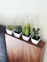 Variety Set Of Fake Succulent Plants Faux Succulents In Pot Etsy In 2021 Faux Plants Decor Plant Decor Fake Plants Decor