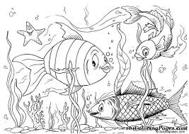 Have fun discovering pictures to print and drawings to color. Get This Fish Coloring Pages Free Printable 606710