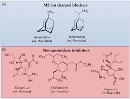 Image result for Peramivir