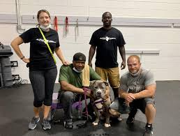 39 reviews of homeward bound spay neuter hospital this veterinary office is clean and the staff is very friendly and knowledgeable. Help Create A Game Plan For Shelter Dogs Friends Of The Burlington County Animal Shelter