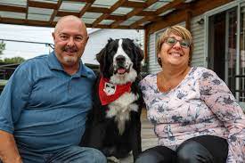 Maybe you would like to learn more about one of these? Un Couple S Implique En Elevant Des Chiots Mira Le Reflet