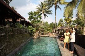Joglo plawang international boutique villa & restaurant memberikan pengalaman menginap yang unik di dalam bangunan bersejarah yang sulit anda temukan di tempat lain. Java Amazon Villa Resort Pool Pictures Reviews Tripadvisor