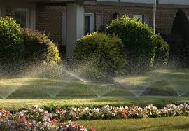 Instant quality results at searchandshopping.org! The Best Time To Water Grass Solved Bob Vila