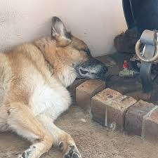 Maybe you would like to learn more about one of these? Aspirecig Sydney Posts Facebook