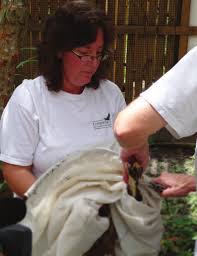 Conservancy of Southwest Florida Annual Report protecting Southwest  Florida's unique natural environment and quality of life