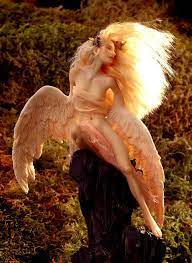 Daughter Of Lir Swan Maiden Art Fairy Art Fantasy Art
