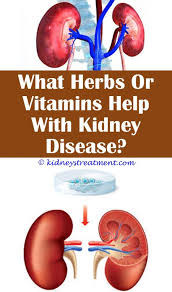 Pin On Kidney Disease