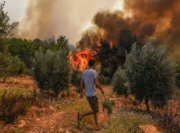 A heat wave across southern europe, fed by hot air from africa, has led to wildfires across the. Xtafn Vzj6ismm