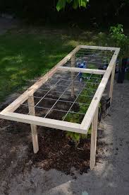 Ein Himbeerspalier Gitter Fur Himbeere Liegt Waagerecht Uber Dem Beet Lasst Sich Einfach Selber Bauen Bildrechte Mdr Dani Himbeeren Mdr Garten Gartenarten