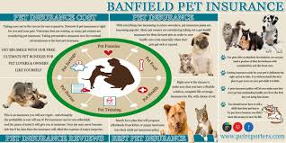 Maybe you would like to learn more about one of these? Banfield Pet Insurance Visual Ly