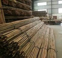 Big Bamboo Poles for Plant High-Quality Wholesale