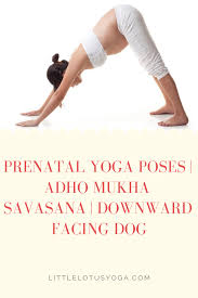 Learn About Prenatal Yoga Poses Adho Mukha Savasana Downward Facing Dog Prenatal Yoga Poses Prenatal Yoga Yoga Poses