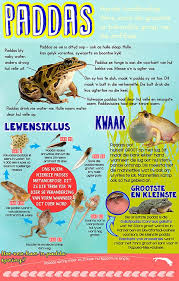 Pin On Afrikaans