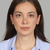 10+ "Di̇lara Köseoğlu" profiles