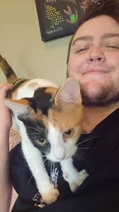 Lost cat in Washington County, Oregon, near park and swim center