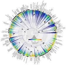 First Ever Family Tree For All Living Birds Reveals