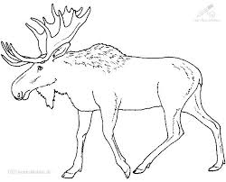 Https Www 1001malvorlagen De 2008 11 16t09 55 40 00 00 Daily 1 00 Https Www 1001malvorlagen De Index Php 2008 11 16t09 58 12 00 00 Daily 0 50 Https Www 1001malvorlagen De Malvorlagen Neu Php 2008 11 16t09 59 44 00 00 Daily 0 50