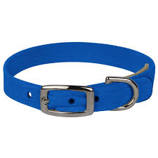Susan Lanci Designs Royal Blue Dog Collar