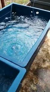 Saya Baru Beli Tangki 2 Kaki X 4 Kaki X Kursus Ternakan Udang Galah