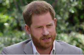 Och en massa annat roligt! Prince Harry Says The Royal Family Is Scared Of The British Tabloids