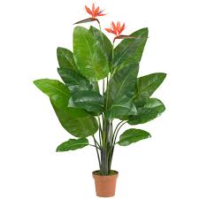 Artificial flowers and plants are the easiest way to change the appearance of your home or work area. Free Photo Tropical Plants Bamboo Green Leafs Free Download Jooinn