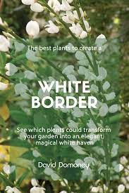 But if you're planting a shrub or perennial, which return for many years, make sure. White Garden The Best Plants To Create A White Border