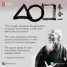 Pin By James Kapcoe On Aikido Martial Arts Quotes Aikido Martial Arts Martial Arts