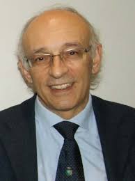 ADVANCED LEAD FAST REACTOR EUROPEAN DEMONSTRATOR