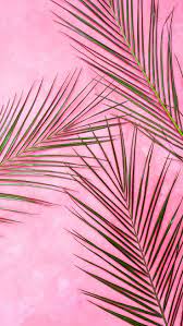 Only the best hd background pictures. 10 Super Pretty Iphone X Wallpapers Preppy Wallpapers Preppy Wallpaper Pink Wallpaper Iphone Leaf Art