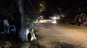 Dahan Pohon Patah Di Jalan Trangkil Gunungpati Pln Perbaiki Kerusakan Kabel Listrik Tribun Jateng