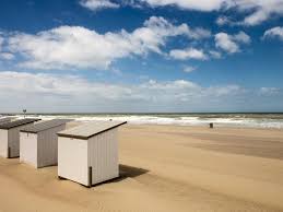 99% unserer urlauber empfehlen ihre unterkunft. Urlaub Mit Hund Im Ferienhaus In Belgien Novasol De