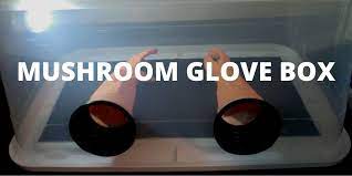 How To Make A Diy Homemade Mushroom Glove Box