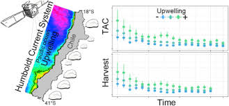 Check spelling or type a new query. Exploring The Influence Of Upwelling On The Total Allowed Catch And Harvests Of A Benthic Gastropod Managed Under A Territorial User Rights For Fisheries Regime Along The Chilean Coast Sciencedirect