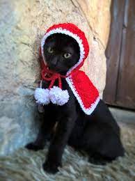 Little Red Riding Hood Cat Costume Cat Halloween Costume Hats For Cats Christmas Hat Pet Access In 2021 Cat Halloween Costume Pet Costumes Cat Christmas Hat