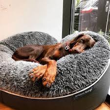 We did not find results for: Pet Beds Dog Beds Designer Dog Bean Bags Dark Grey Large Size
