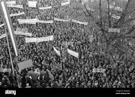 Image result for White 1964 Fleet