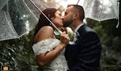 Clear umbrellas Wedding Pictures - Clear umbrellas Images ...
