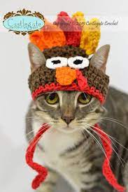 Crochet Pattern Thanksgiving Turkey Hat For Pets Crochet Cat Hat Cat Hat Pattern Thanksgiving Crochet Patterns