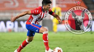 And this beloved passion is driven by atmosp. Nicolas Ibanez Sera Nuevo Refuerzo De Los Xolos De Tijuana Futbol Total