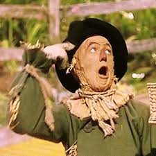 C2f1b174649db102162a22240c55b372 Jpg 245 245 The Wonderful Wizard Of Oz Wizard Of Oz Wizard Of Oz 1939