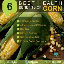 Pin On Eating Healthy
