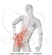 Muscles of the abdominal wall., from the online textbook of urology by d.here is a diagram that shows where each one is located this section of the website will explain large and minute details of abdomen axial cross sectional anatomy. Clipart Of A 3d White Anatomical Man With Visible Abdominal And Hip Muscles On White Royalty Free Illustration By Kj Pargeter 1316400