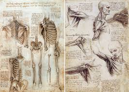 This is the ultimate guide to drawing the author shows the male and the female body from multiple positions; Leonardo Da Vinci And Dissection