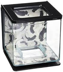 We discuss 5 to choose from, to suit different tank sizes, so there should be one for everyone. The 25 Best Betta Fish Tanks Of 2021 Pet Life Today