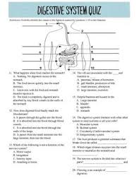 20 Question Digestive System Quiz Human Digestive System Digestive System Activities Digestive System