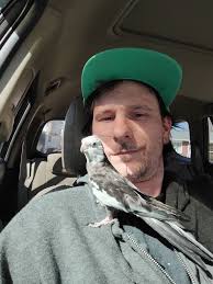 Challenges of Renting with Birds as Pets