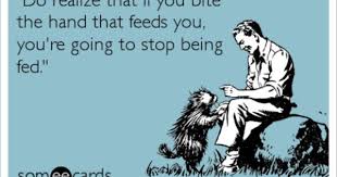 Don T Bite The Hand That Feeds You Meaning Pin On Yes Sayings So True