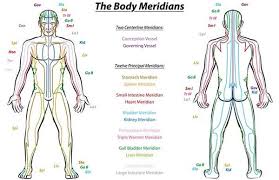 Healing Traditions All Spoke Of Energy Channels Sen