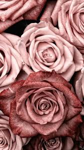 Image Shared By Esmanur Find Images And Videos About Tumblr Pink And Aesthetic On We Heart Gold Wallpaper Background Rose Gold Wallpaper Rose Gold Aesthetic Download and use 10,000+ iphone wallpaper stock photos for free. gold wallpaper background