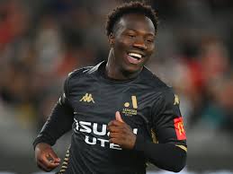 Image result for Nesaea rautanenii